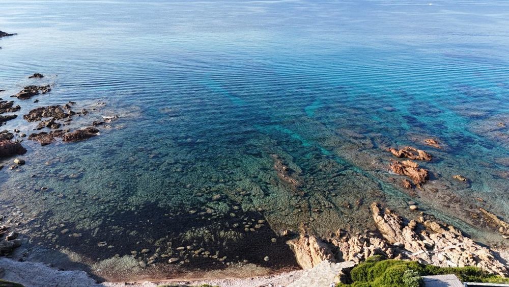 � vendre  Maison Vico (20160)