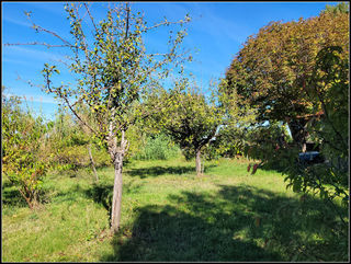  Maison � vendre 4 pi�ces 104 m�