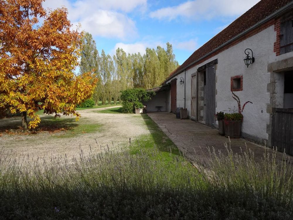 � vendre  Propri�t�/ch�teau Sigloy (45110)