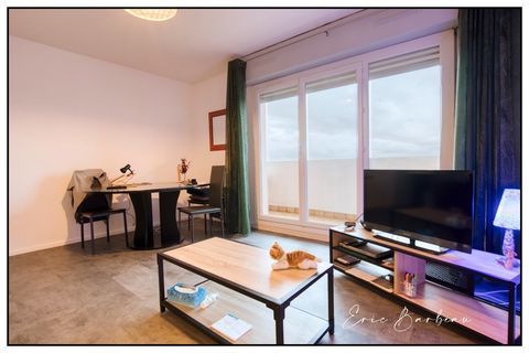   Appartement 2 pi�ces - 48m2 - PAU - Vue imprenable Appartement - 2 pi�ce(s) - 49 m�