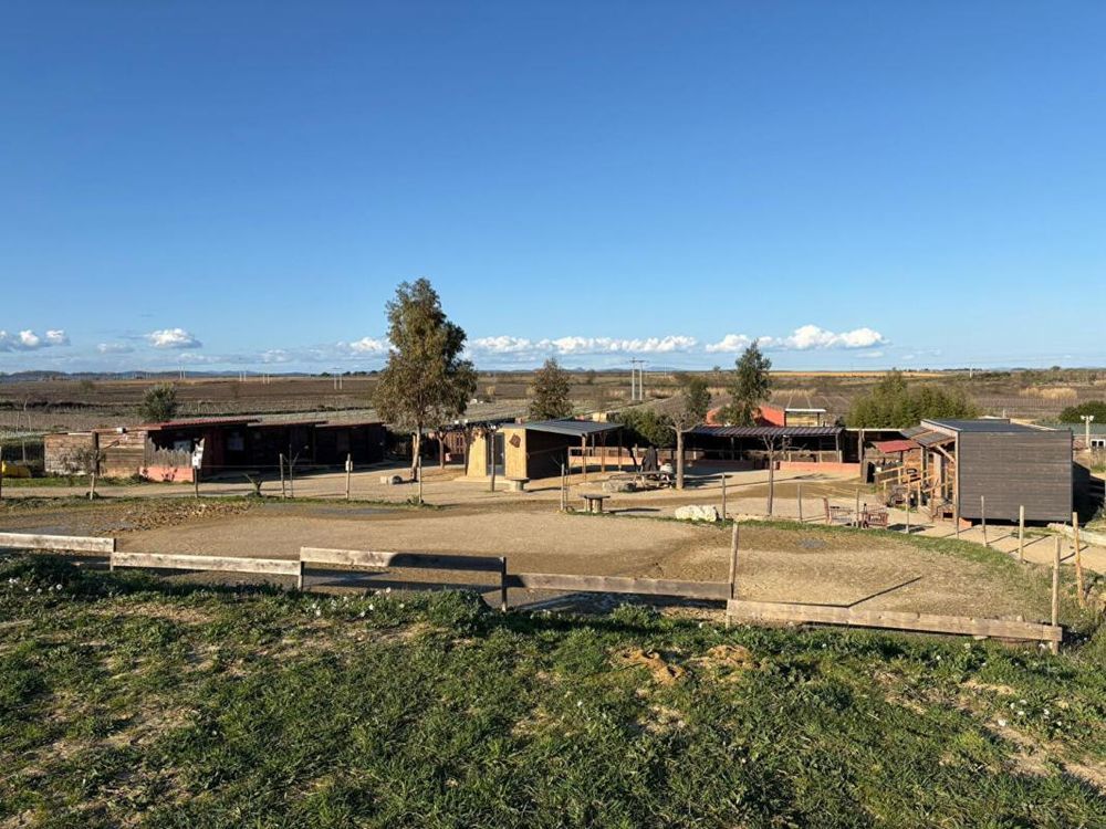 � vendre  Propri�t�/ch�teau Bassan (34290)