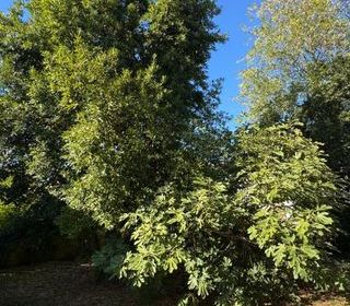  Maison � vendre 4 pi�ces 82 m�