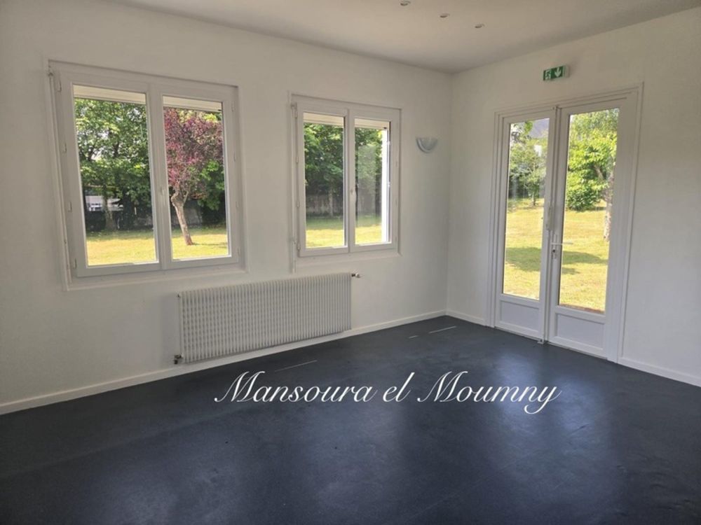 � vendre  Propri�t�/ch�teau Ch�teau-Renault (37110)