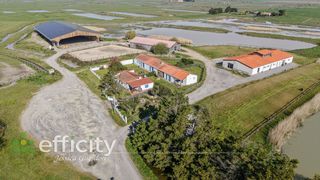  Maison � vendre 11 pi�ces 270 m�