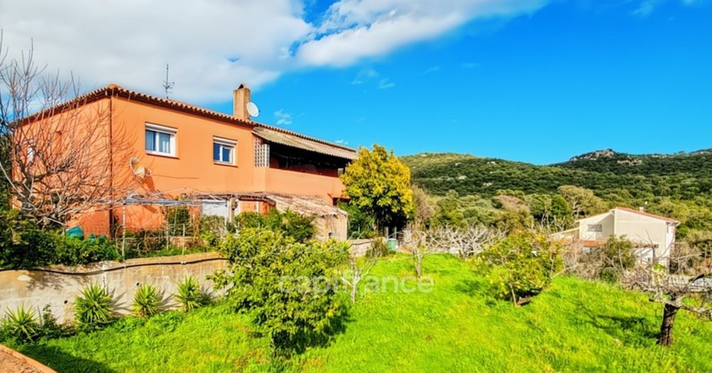 � vendre  Maison Lecci (20137)