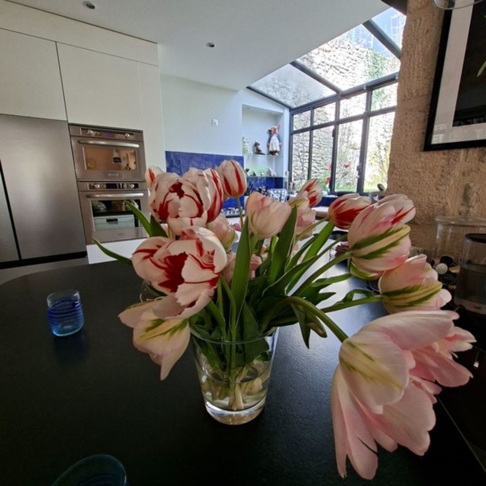 � vendre  Maison Le Bugue (24260)