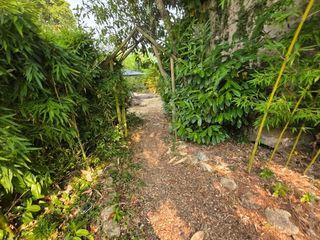  Maison � vendre 6 pi�ces 98 m�