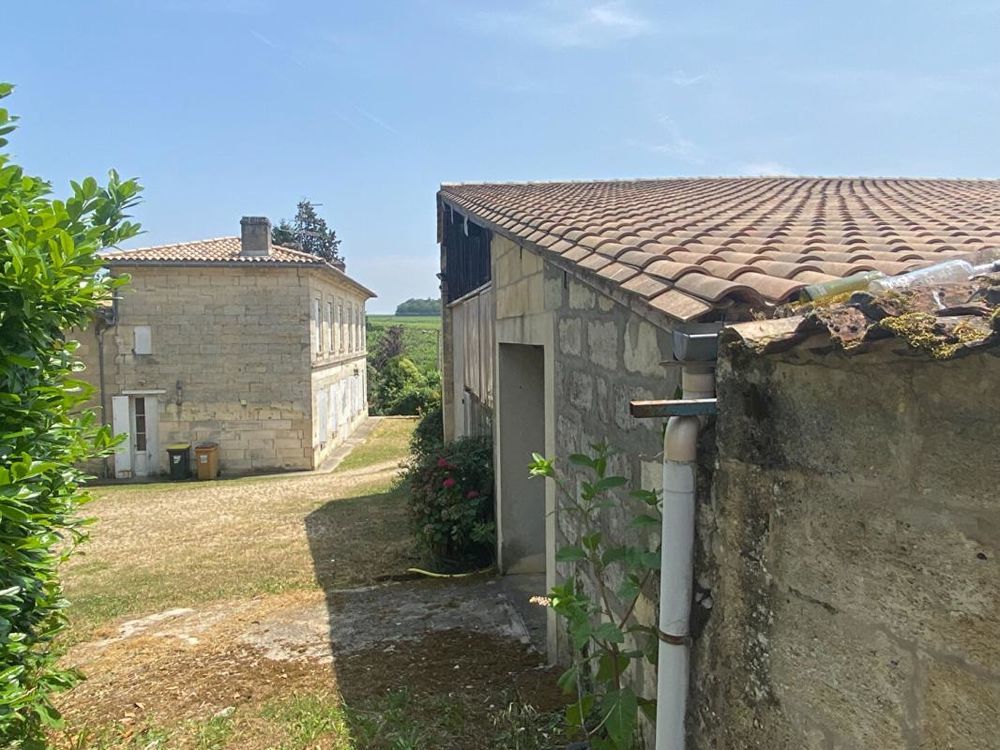 � vendre  Propri�t�/ch�teau Montagne (33570)