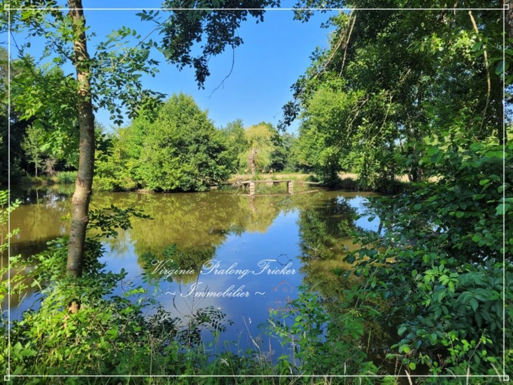 � vendre  Propri�t�/ch�teau Galgon (33133)