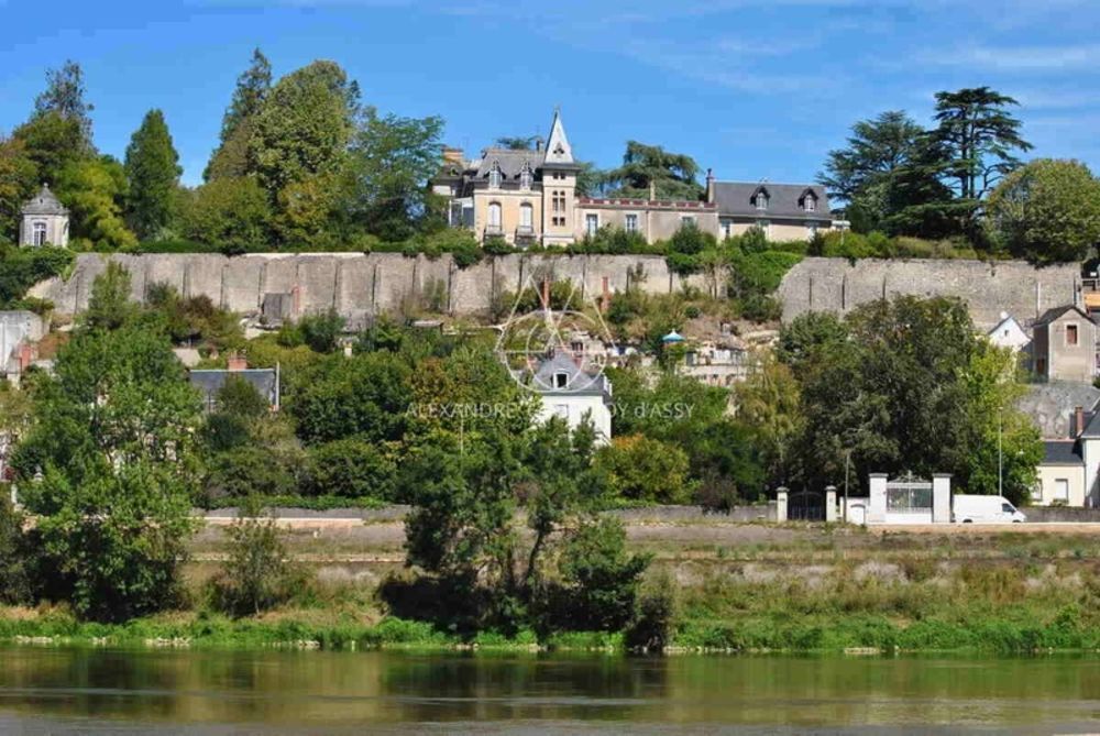 � vendre  Propri�t�/ch�teau Tours (37000)