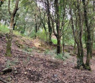  Terrain � vendre 5784 m�