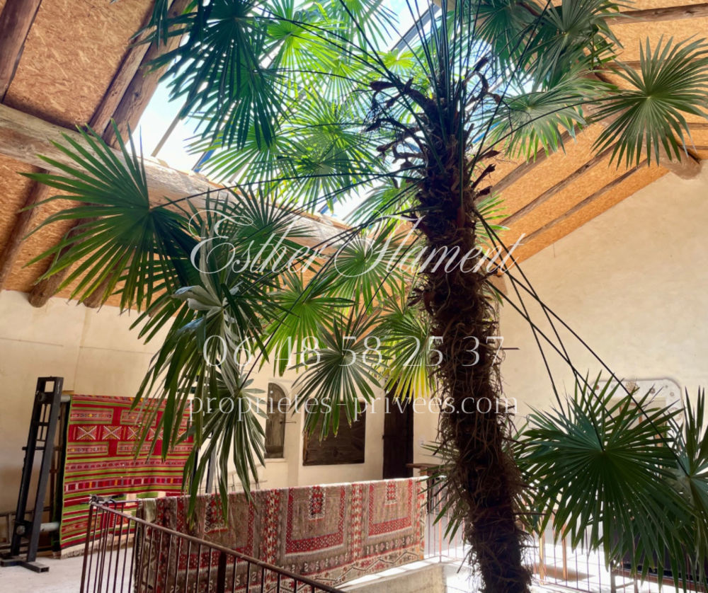 � vendre  Propri�t�/ch�teau Anduze (30140)