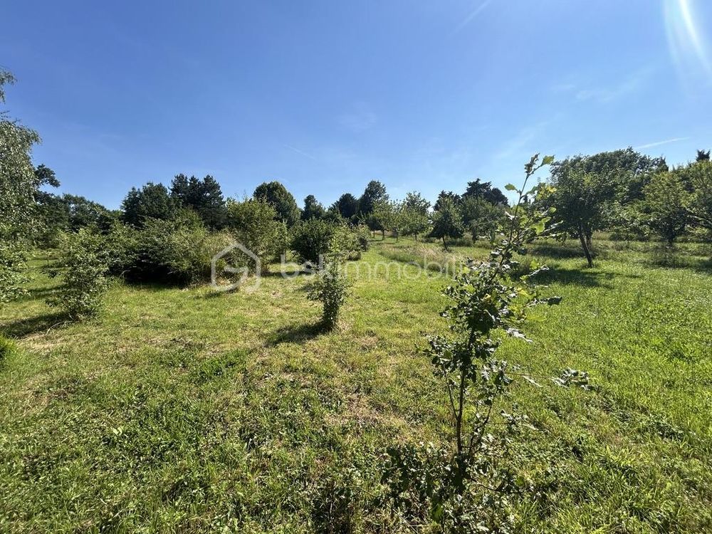 � vendre  Propri�t�/ch�teau Agen (47000)