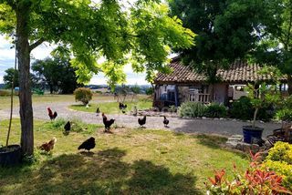  Propri�t�/ch�teau � vendre 7 pi�ces 220 m�