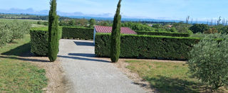  Terrain � vendre 1 pi�ce 11465 m�