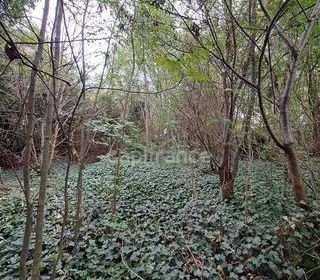  Terrain � vendre 811 m�