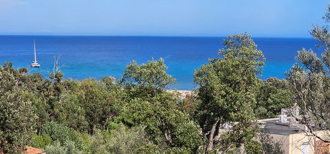   SARI SOLENZARA (20) MAISON 133m� TERRAIN de 772m� PISCINE A DEBORDEMENT - VUE MER Maison - 5 pi�ce(s) - 133 m�