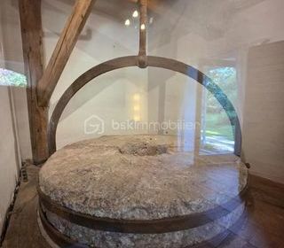  Moulin � vendre 10 pi�ces 390 m�