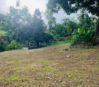  Terrain � vendre 738 m�