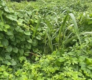  Terrain � vendre 688 m�