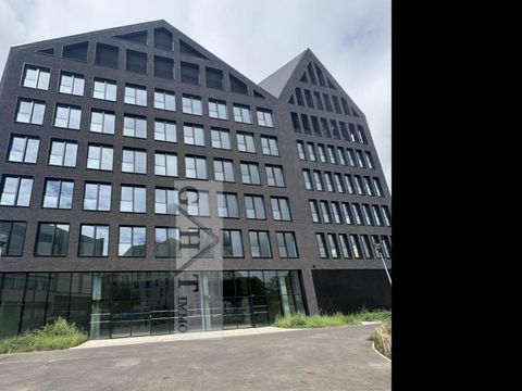 LOCAL D'ACTIVIT&Eacute; 296M&sup2; &Agrave;  LOUER SUR IVRY-SUR-SEINE 6556 94200 Ivry sur seine