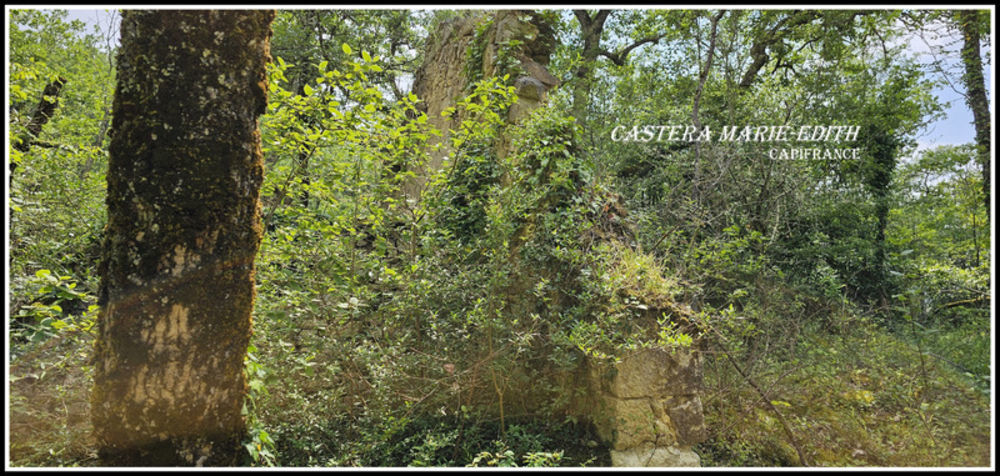 � vendre  Propri�t�/ch�teau Auch (32000)