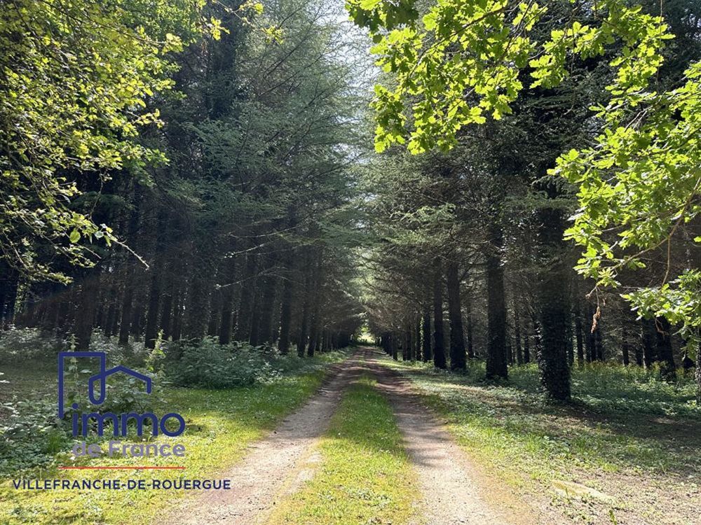 � vendre  Propri�t�/ch�teau Villefranche-de-Rouergue (12200)