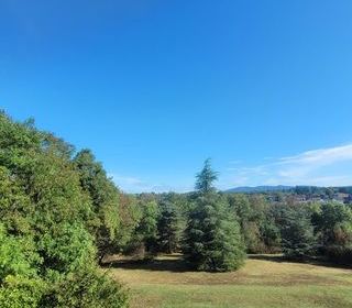  Appartement � louer 1 pi�ce 30 m�