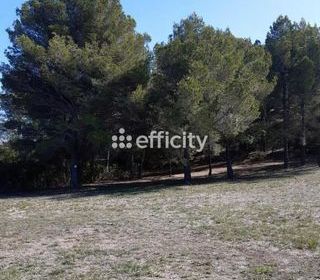  Terrain � vendre 959 m�