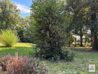  Maison � vendre 8 pi�ces 203 m�