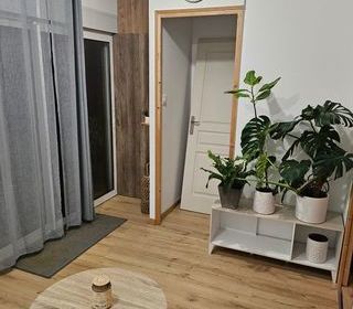  Appartement � louer 1 pi�ce 33 m�