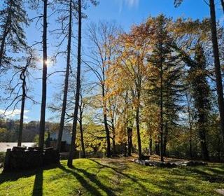  Maison � vendre 12 pi�ces 245 m�