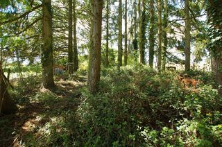  Terrain � vendre 1 pi�ce 2663 m�