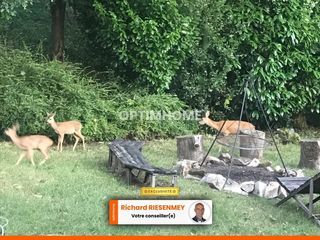  Chalet � vendre 3 pi�ces 42 m�