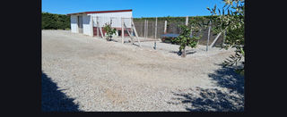  Terrain � vendre 1 pi�ce 11465 m�