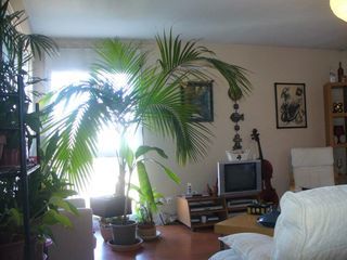  Appartement � louer 1 pi�ce 11 m�