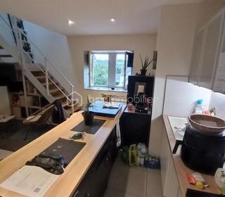  Duplex/triplex � vendre 2 pi�ces 48 m�