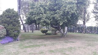  Appartement � louer 1 pi�ce 40 m�