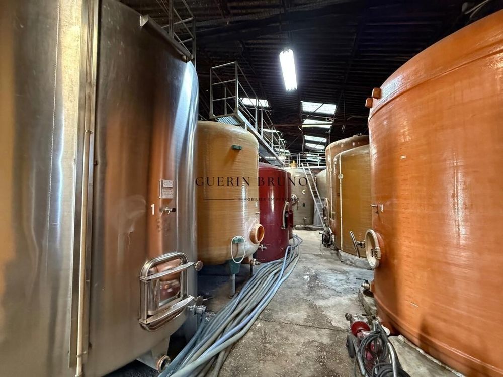 � vendre  Propri�t�/ch�teau Monbazillac (24240)