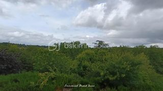  Immeuble � vendre 9 pi�ces 213 m�