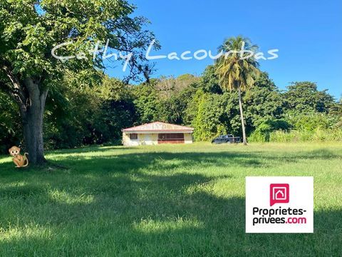   Maison � r�nover sur 5000 M� de terrain constructible - Pointe Noire Maison - 4 pi�ce(s) - 100 m�