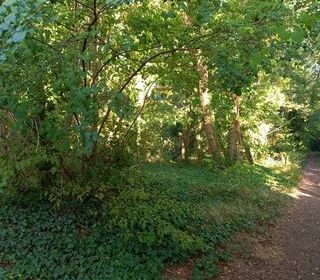  Terrain � vendre 2820 m�