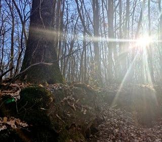  Terrain � vendre 1886 m�