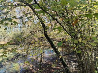  Terrain � vendre 6660 m�