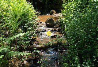  Terrain � vendre 113246 m�