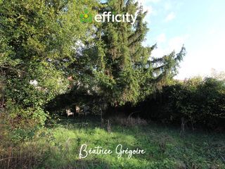  Immeuble � vendre 8 pi�ces 172 m�