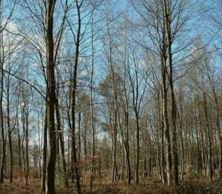  Terrain � vendre 3100 m�