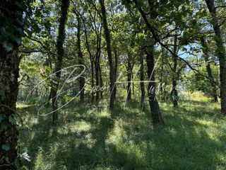  Terrain � vendre 1768 m�