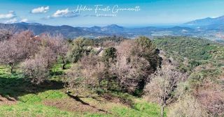  Terrain � vendre 1984 m�