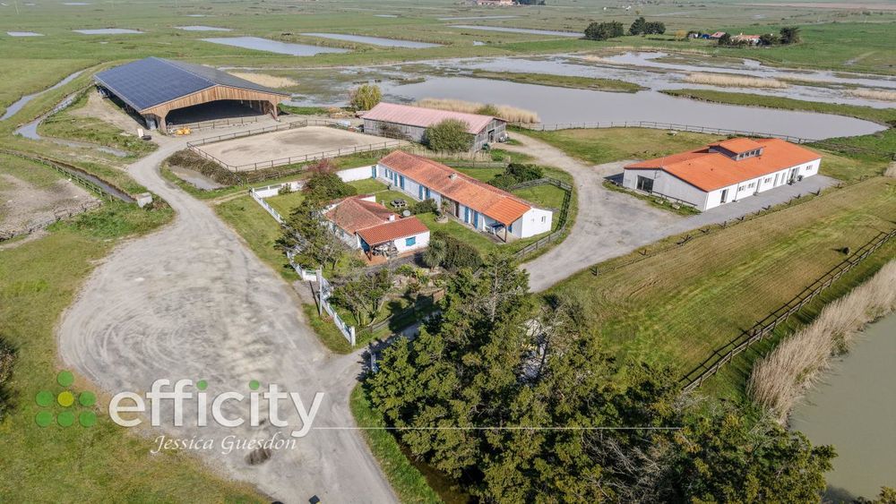 � vendre  Maison Bouin (85230)